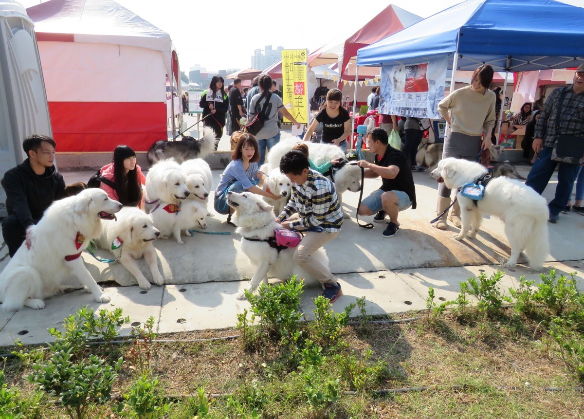 「北中南熊出沒聯盟」的態友們今年初參加在台南市舉辦的寵物嘉年華活動。高維奇/攝