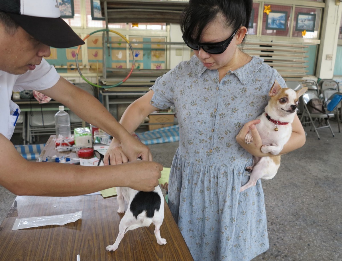 狂犬病疫苗每年要施打一次。高維奇/攝