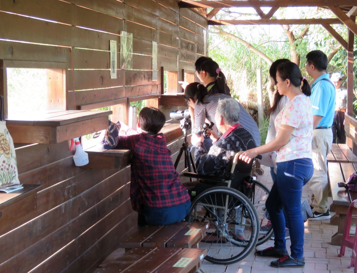 園區的賞鳥亭備有望遠鏡，民眾可以清楚看到水雉。高維奇/攝