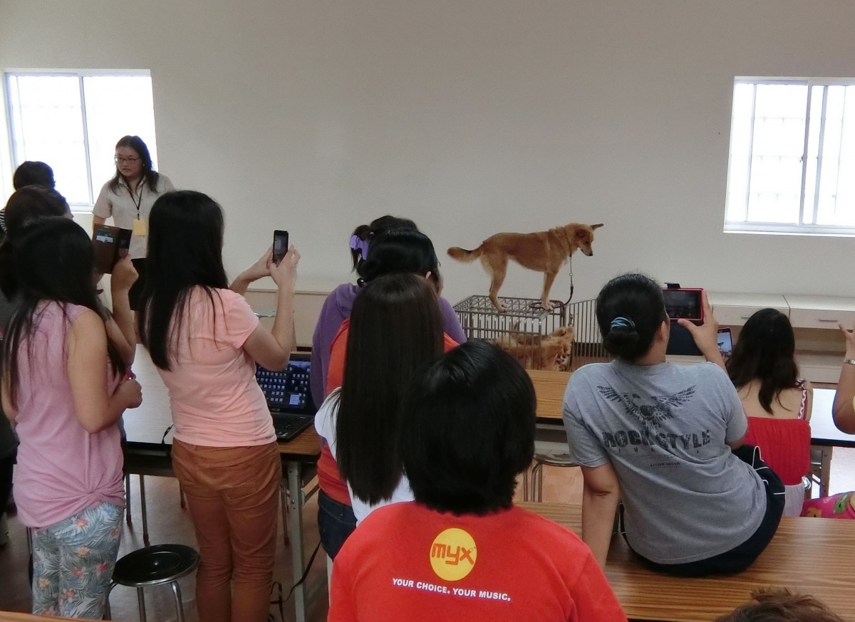 台南市動保處到移工宿舍進行動保法令宣導。高維奇/攝