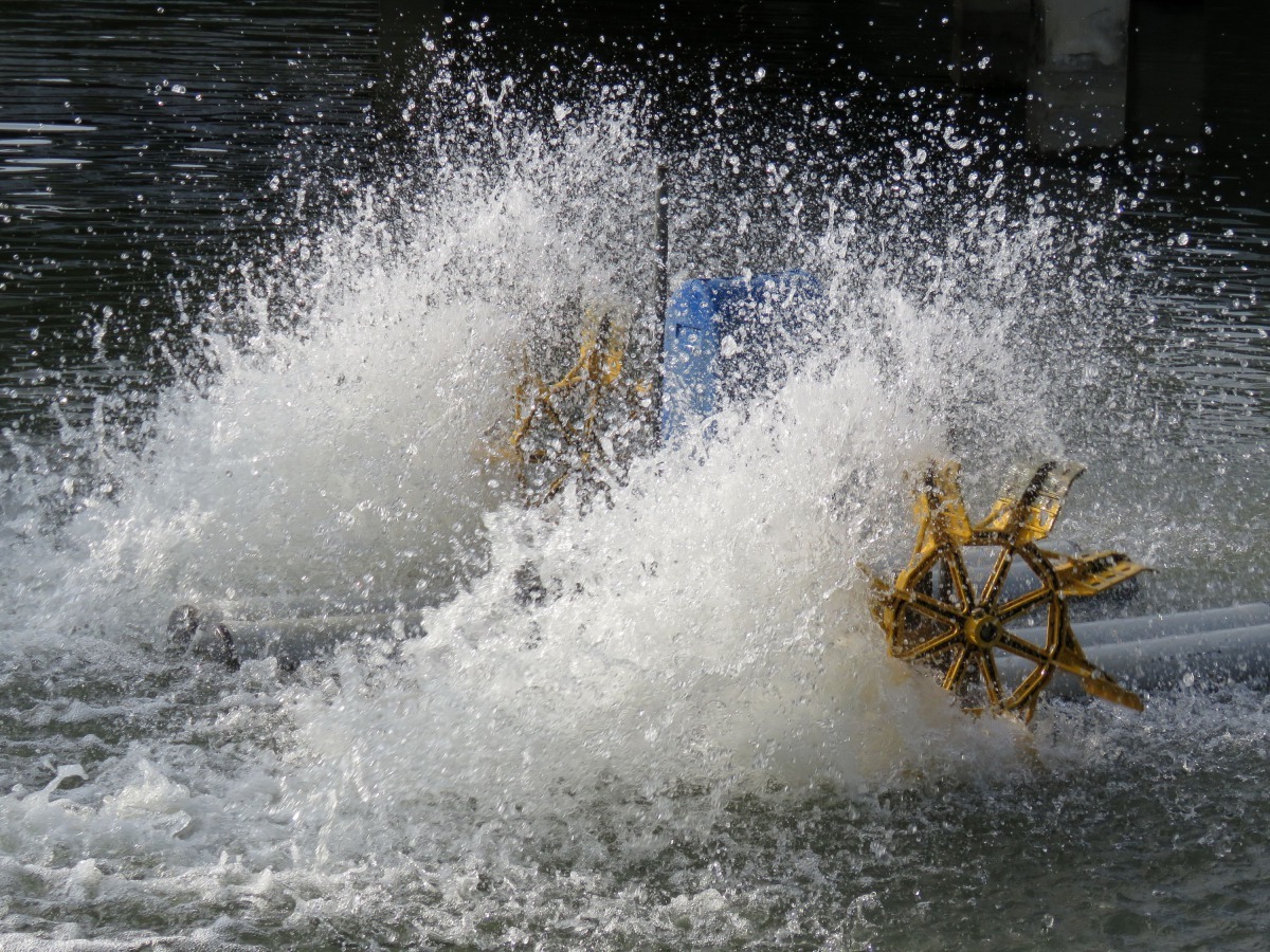 水車等增氧設備又占水產養殖整體用電量6成以上。高維奇/攝