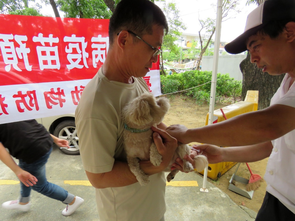 狂犬病疫區的家犬應按時施打疫苗。高維奇/攝