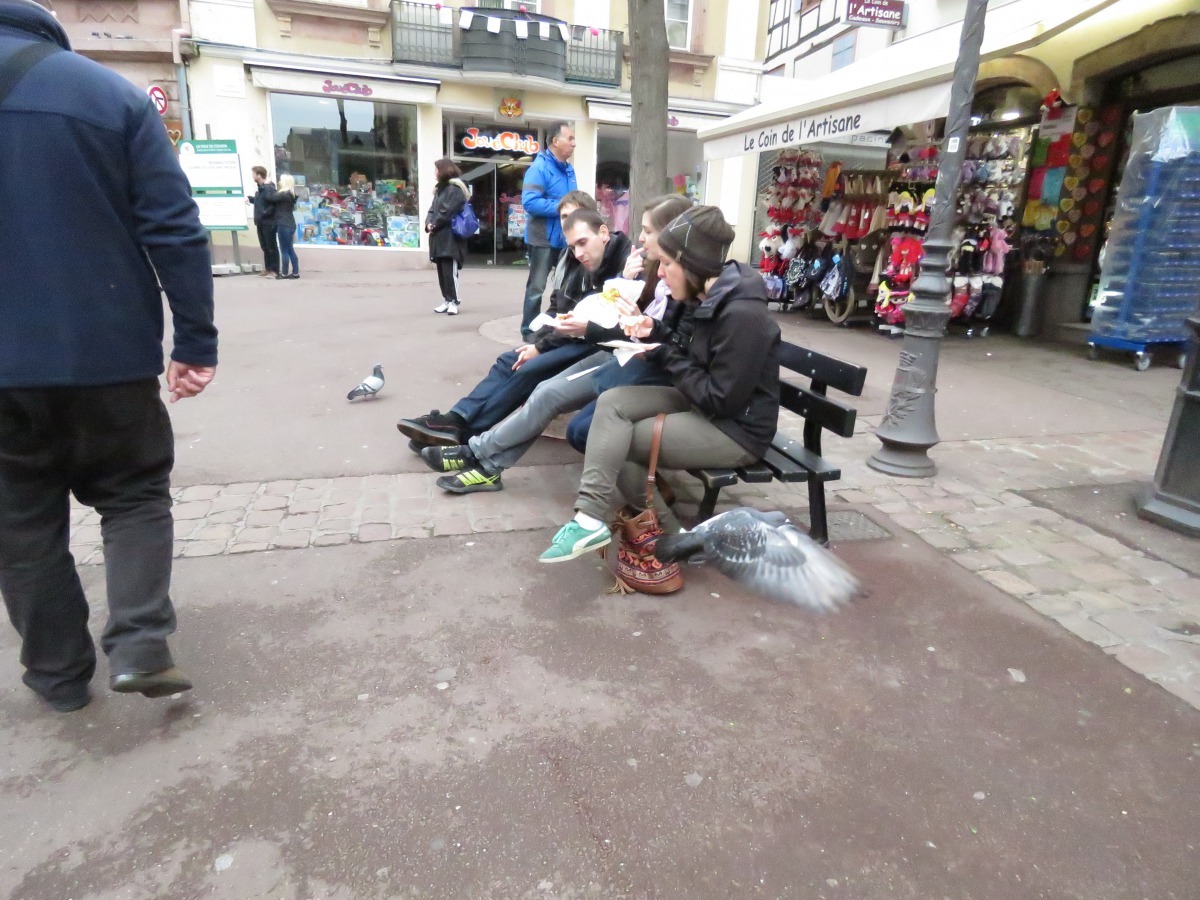 法國民眾及遊客並不刻意餵養野鴿。高維奇/攝