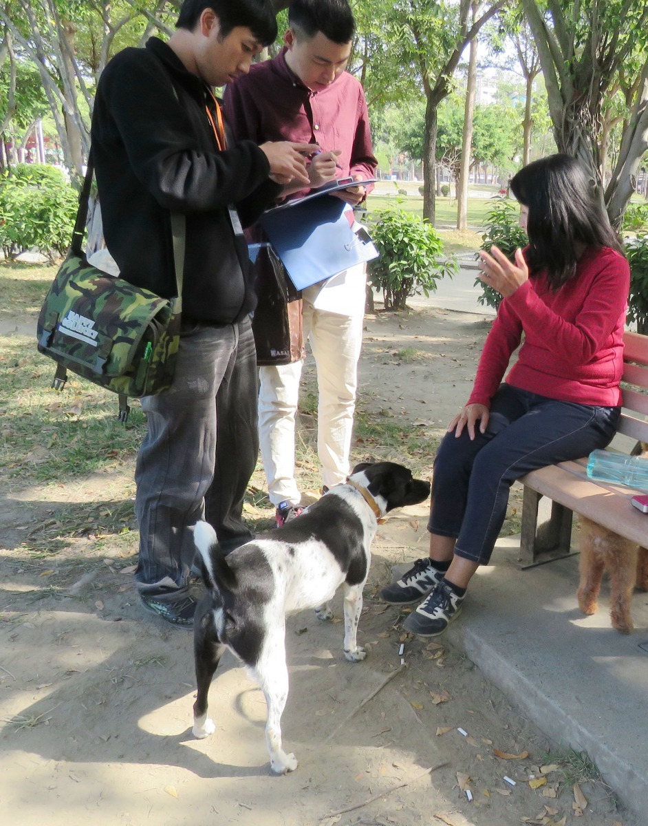 動保陳情通報案件多且複雜,動檢員常要到現場處理,非常忙碌。高維奇/攝