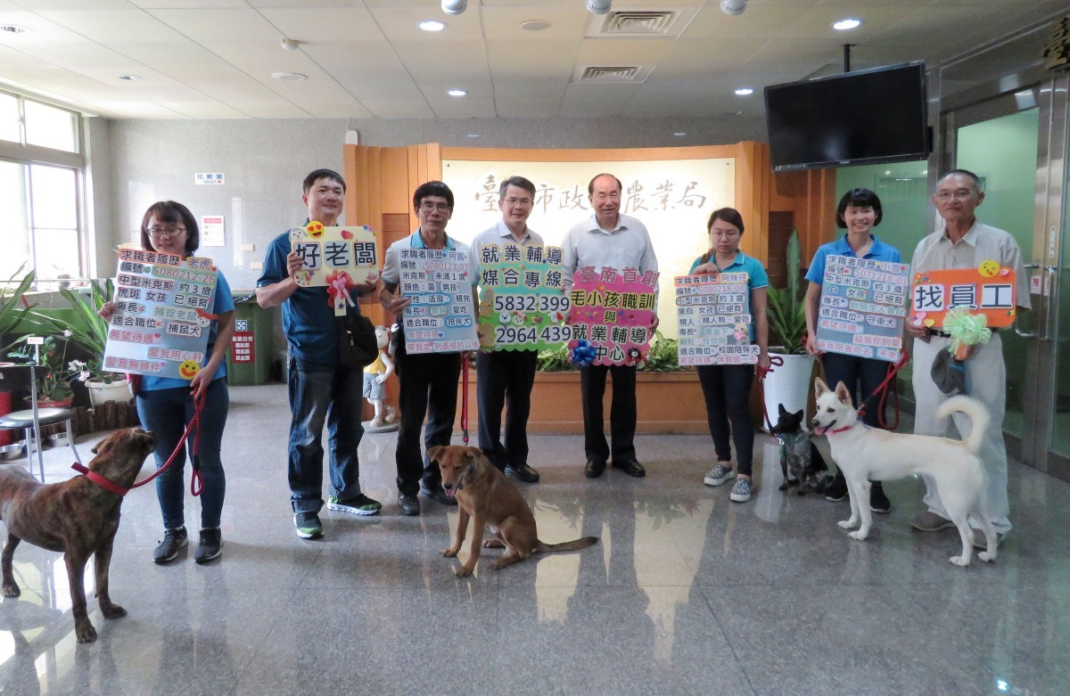 台南市動保處積極透過活動宣導，為緊急庇護的毛孩找新主人。高維奇／攝