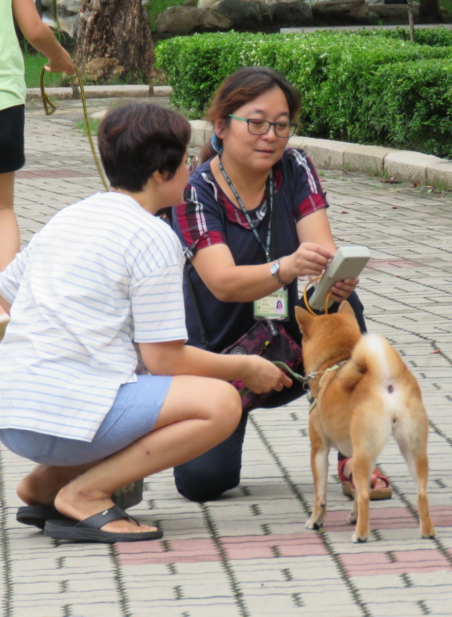沒有辦理寵物登記被機稽查屬實，飼主要被罰3000-15000元罰鍰。高維奇/攝