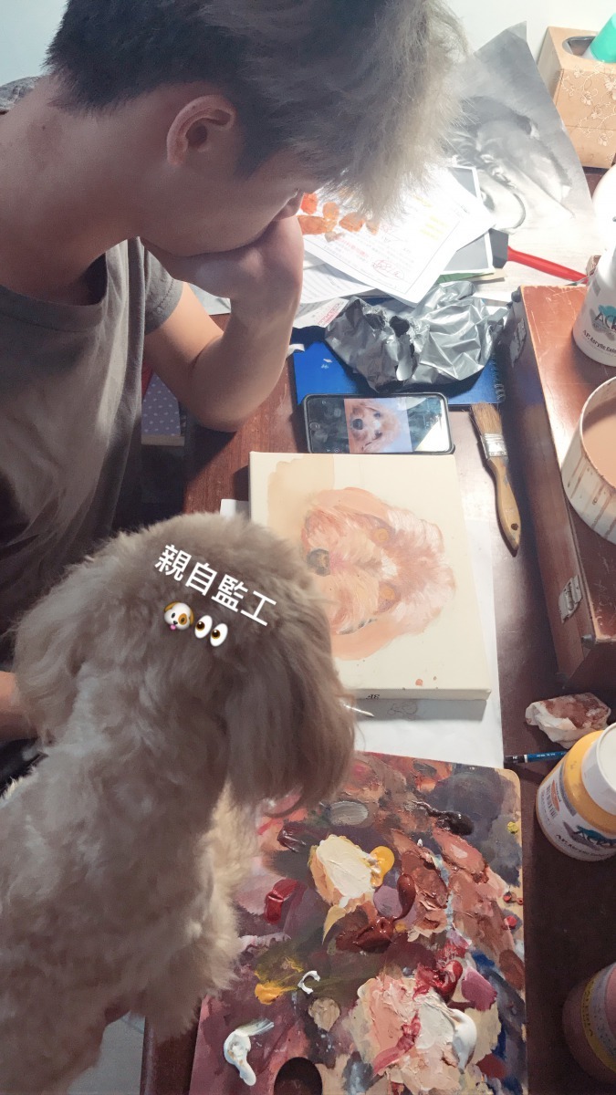 小乖一直看著作畫過程,周芳如一家人戲稱是在「監工」。圖/台南市動保處提供