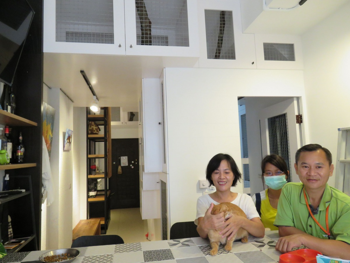 室內設計師劉美華(左一)在一樓客廳規畫打造3度空間貓屋。高維奇/攝