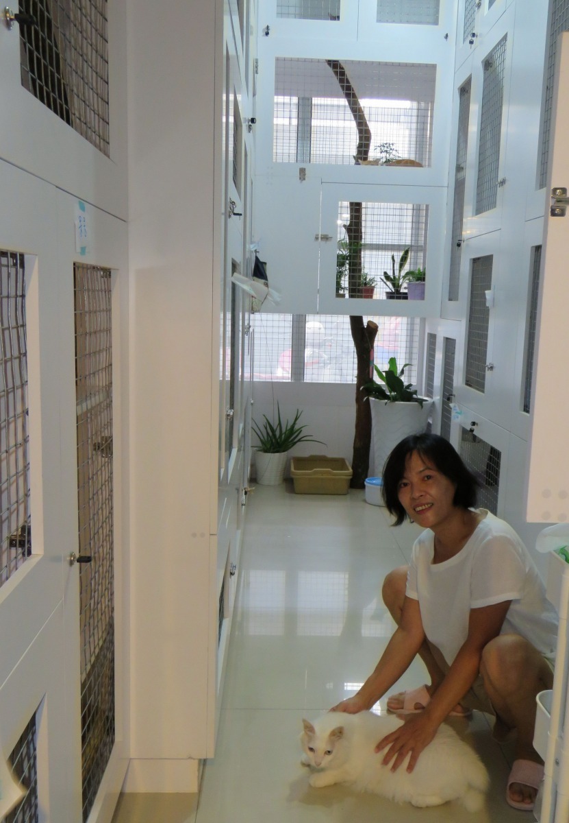 除了要滿足貓咪攀爬跳躍的生理需求，還要考量通風與採光。高維奇/攝