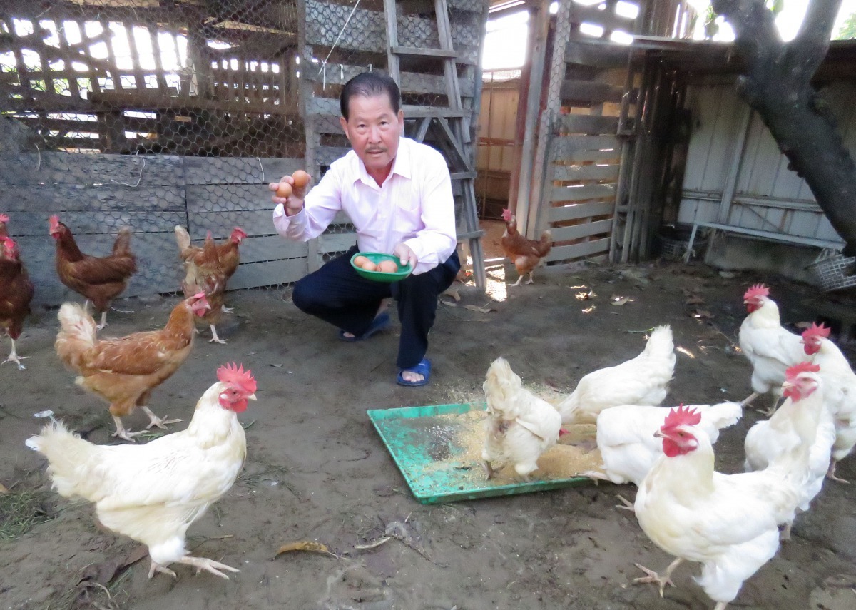 蔡登雲十幾年來送出的蛋已多到數不清。高維奇/攝