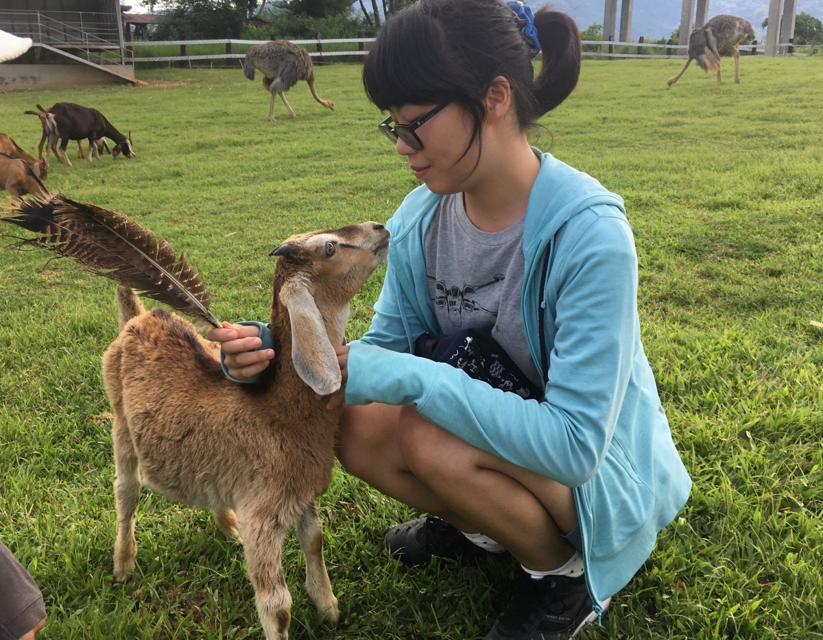 喜歡動物的表情寫在臉上，一點也假不了。謝捷函/提供