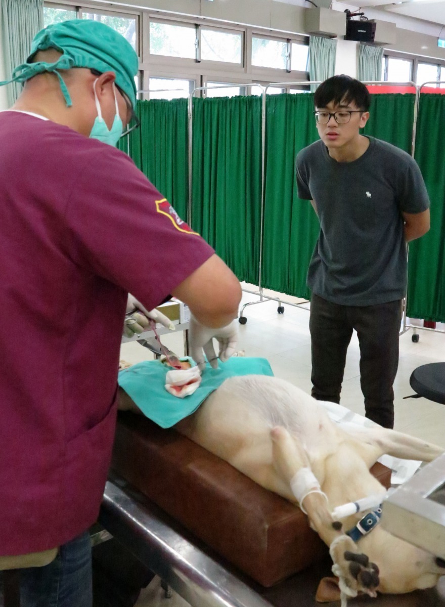 蔡宗翰的父母不敢看血淋淋的手術，他卻樂在其中。高維奇/攝