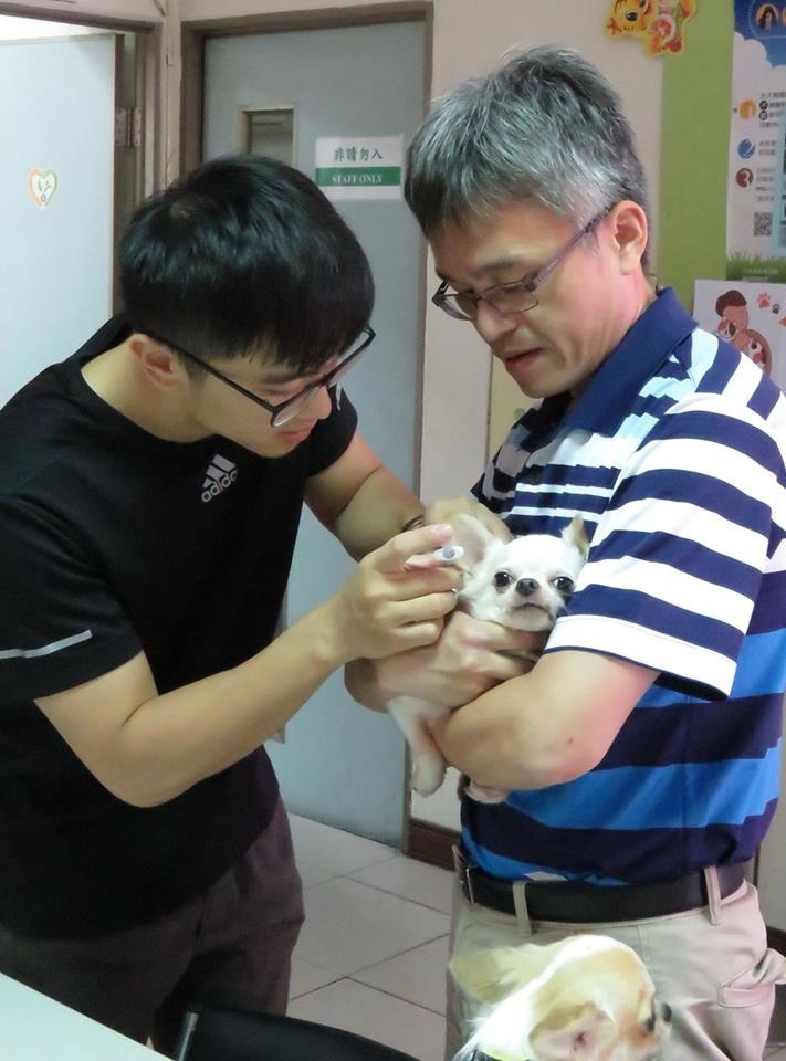 動保處獸醫師指導蔡宗翰為自家的寵物打針。高維奇/攝