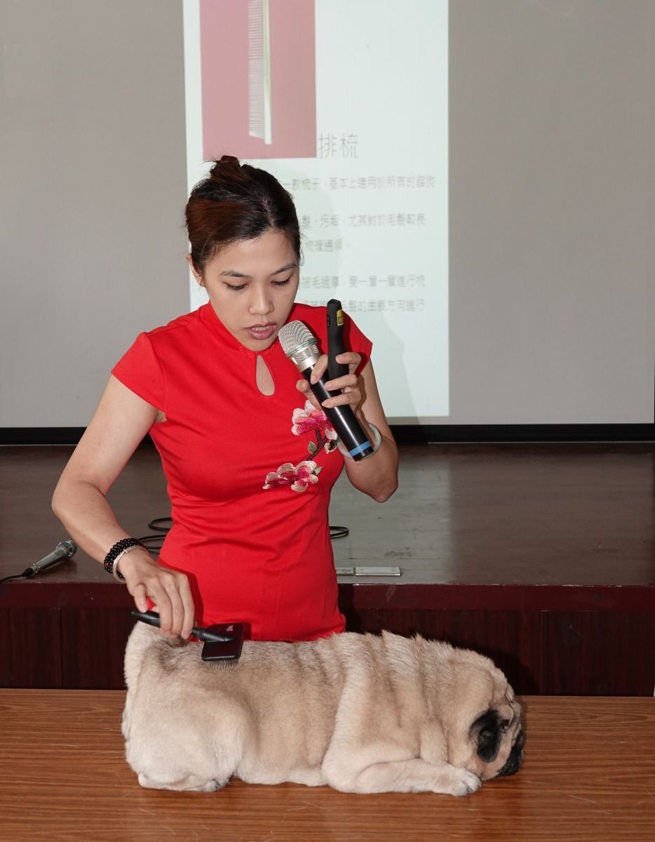 「夏日美容健康大作戰」課程由台南市寵物商業同業公會理事長也是寵物美容專家黃曉亭主講。高維奇/攝