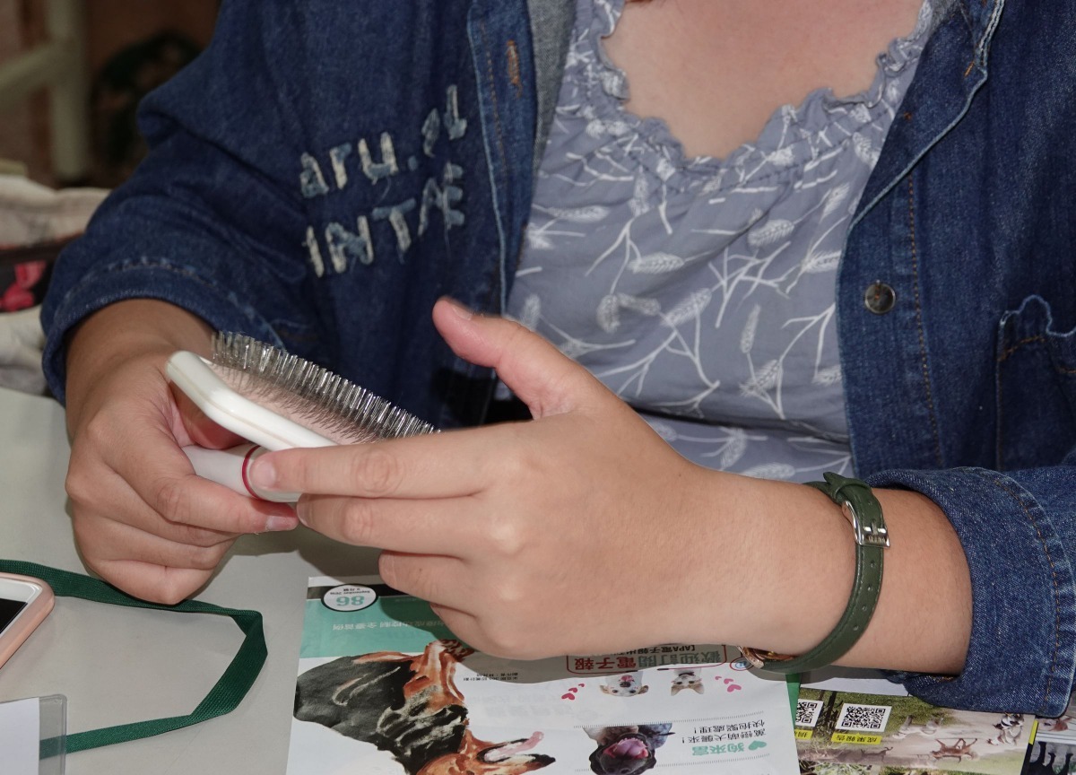 學員親自體驗各種毛梳的手感。高維奇/攝