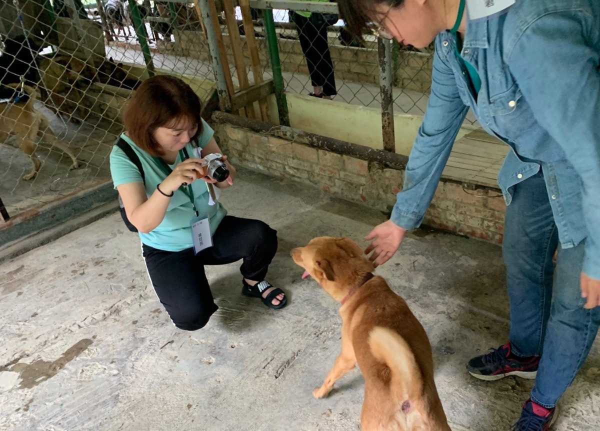 志工學員學習為狗狗拍攝的技巧。圖/中華民國保護動物協會提供