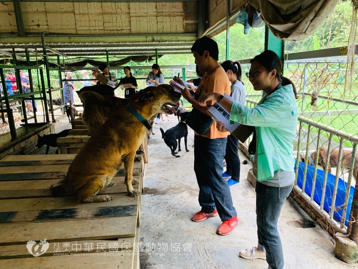 志工學員到家園研習訪視流程。圖/中華民國保護動物協會提供