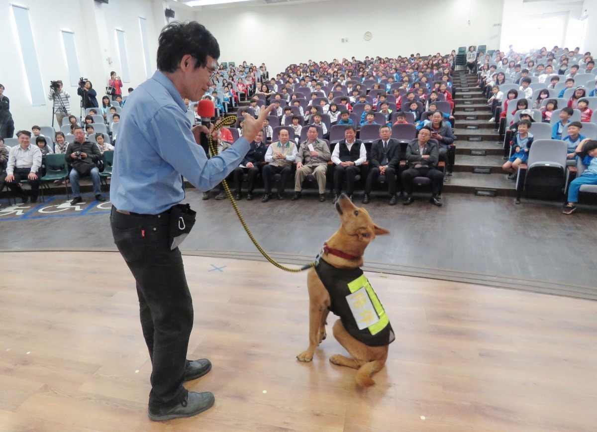 黃連發是台南市動保處資深的志工。高維奇／攝