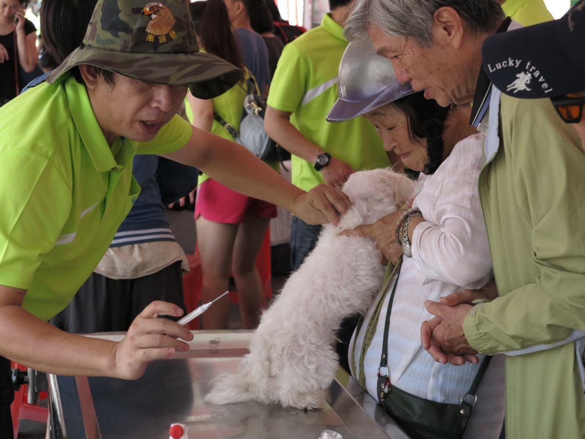 寵物登記後有如為愛犬辦身分證，之後有任何異動都要辦理相關手續。高維奇/攝 
