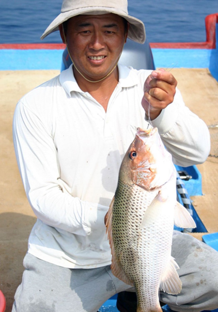 蚵棚也為海洋創造其他魚類的棲息環境，豐富海洋資源。高維奇／攝