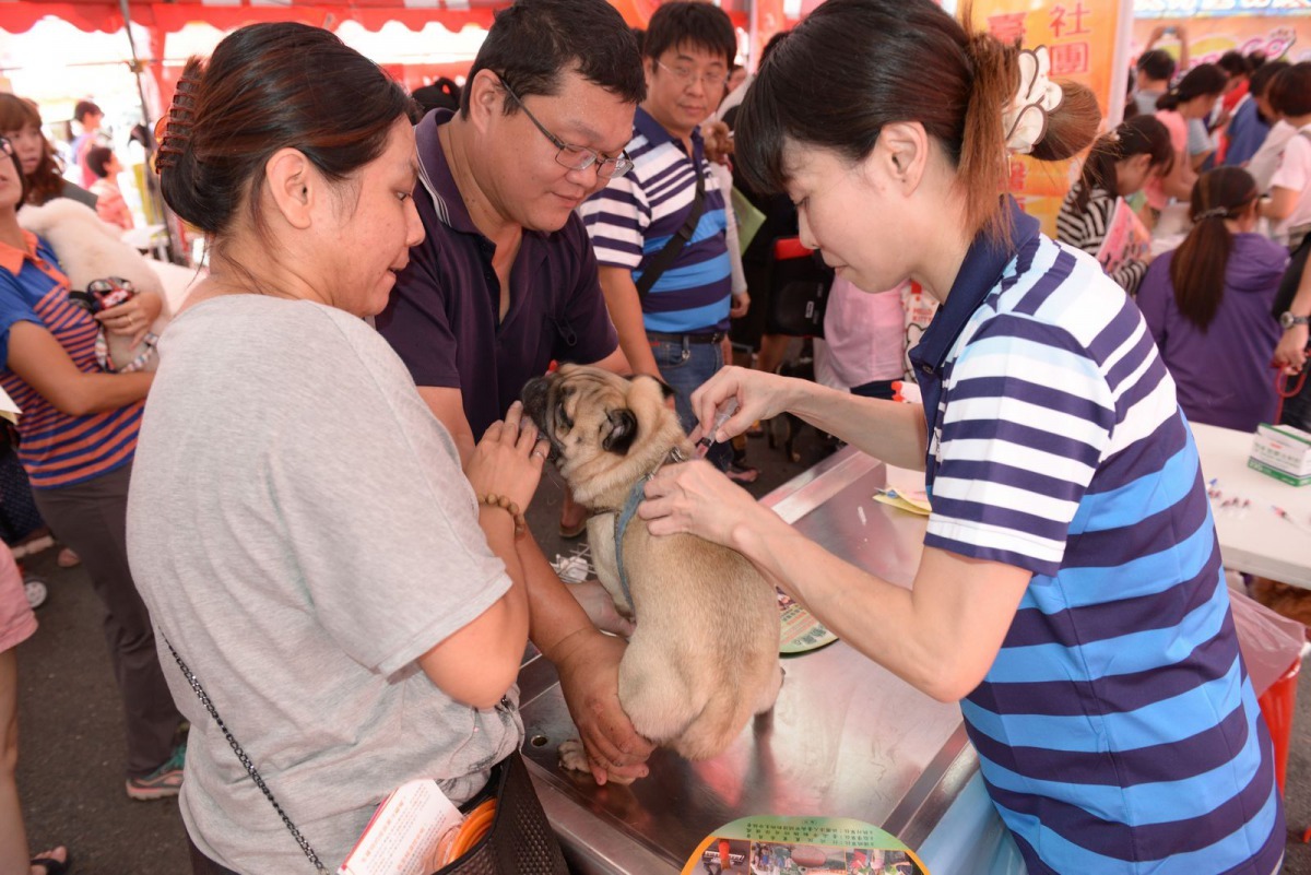 活動中的免費寵物登記及狂犬病疫苗都是歷年受歡迎的好康活動。高維奇/攝