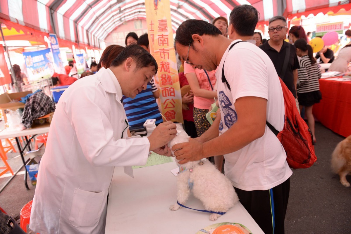 台南市獸醫師公會舉辦犬貓義診，內容為眼壓、血壓及理學檢查。高維奇/攝