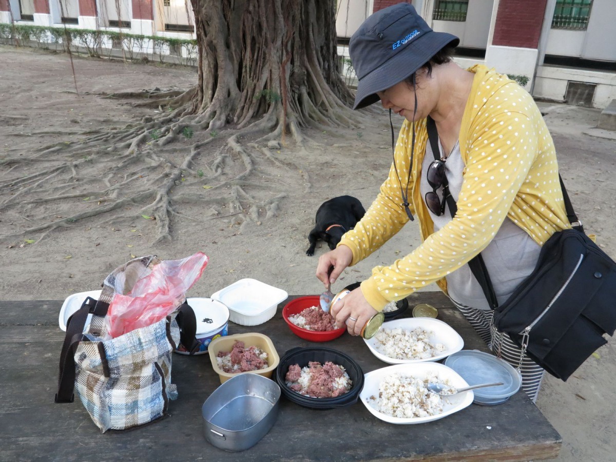 黃麗珠以白米飯摻鮮煮碎肉、雞肉絲及狗罐頭。高維奇/攝