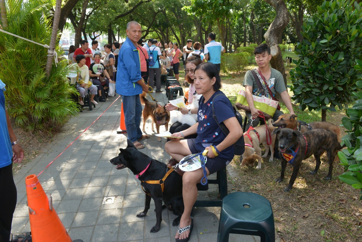 去年的活動,飼主排隊等候施打疫苗的場景。高維奇/攝
