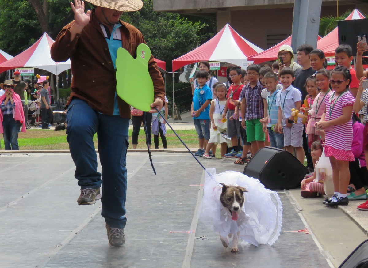 飼主與毛孩造型秀是舞台吸睛的活動。高維奇/攝
