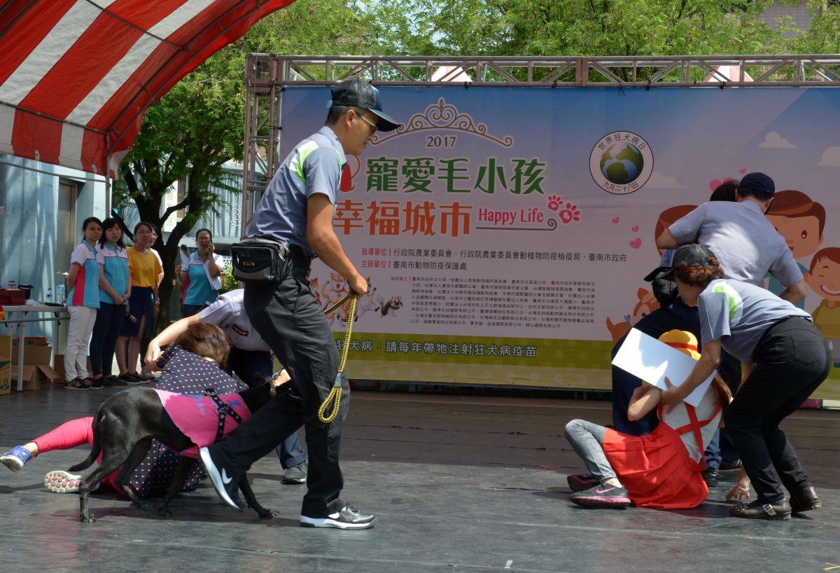 台南北區挀興里認養的社區巡守犬，圖為10月1日在動保宣導活動中表演行動劇。高維奇/攝