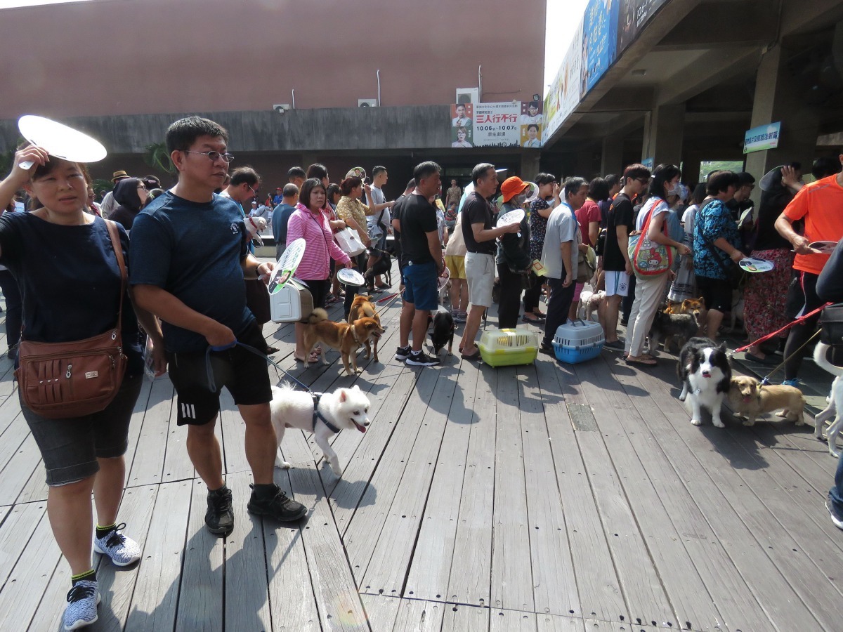 飼主大排長龍等待施打免費七合一疫苗。高維奇/攝