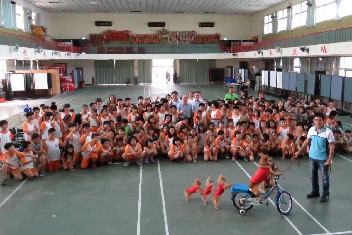 台南市動保處在鹽水國小的宣導，有錢家族六小福來助陣。高維奇/攝