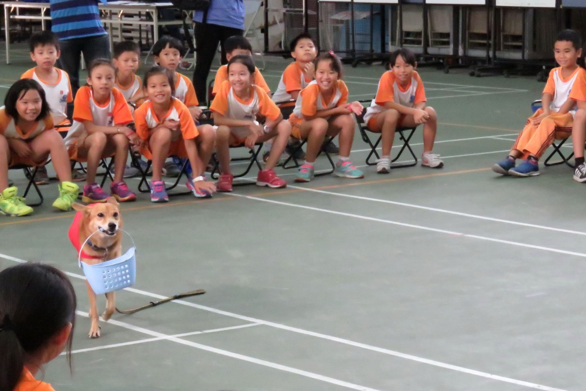 有福示範菜籃犬，引發學生哄堂大笑。高維奇/攝