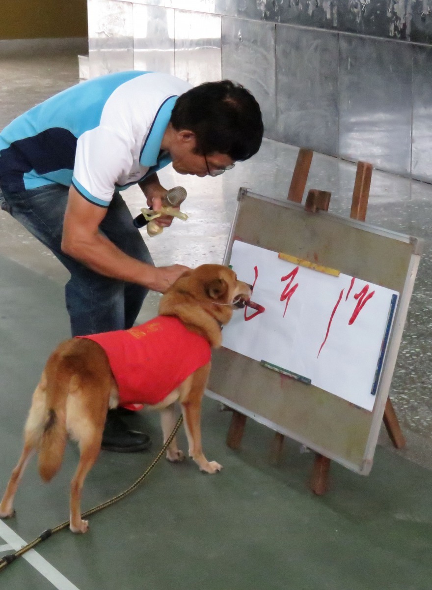 有福咬筆寫數字。高維奇/攝