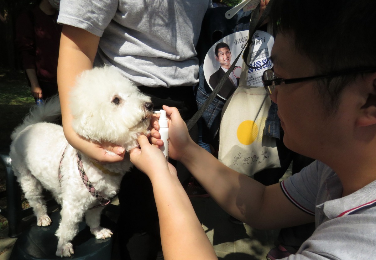 「醣活力」寵物酵素口腔噴霧,經獸醫師臨床試驗,可以有效消除口臭,預防牙菌斑產生。高維奇/攝