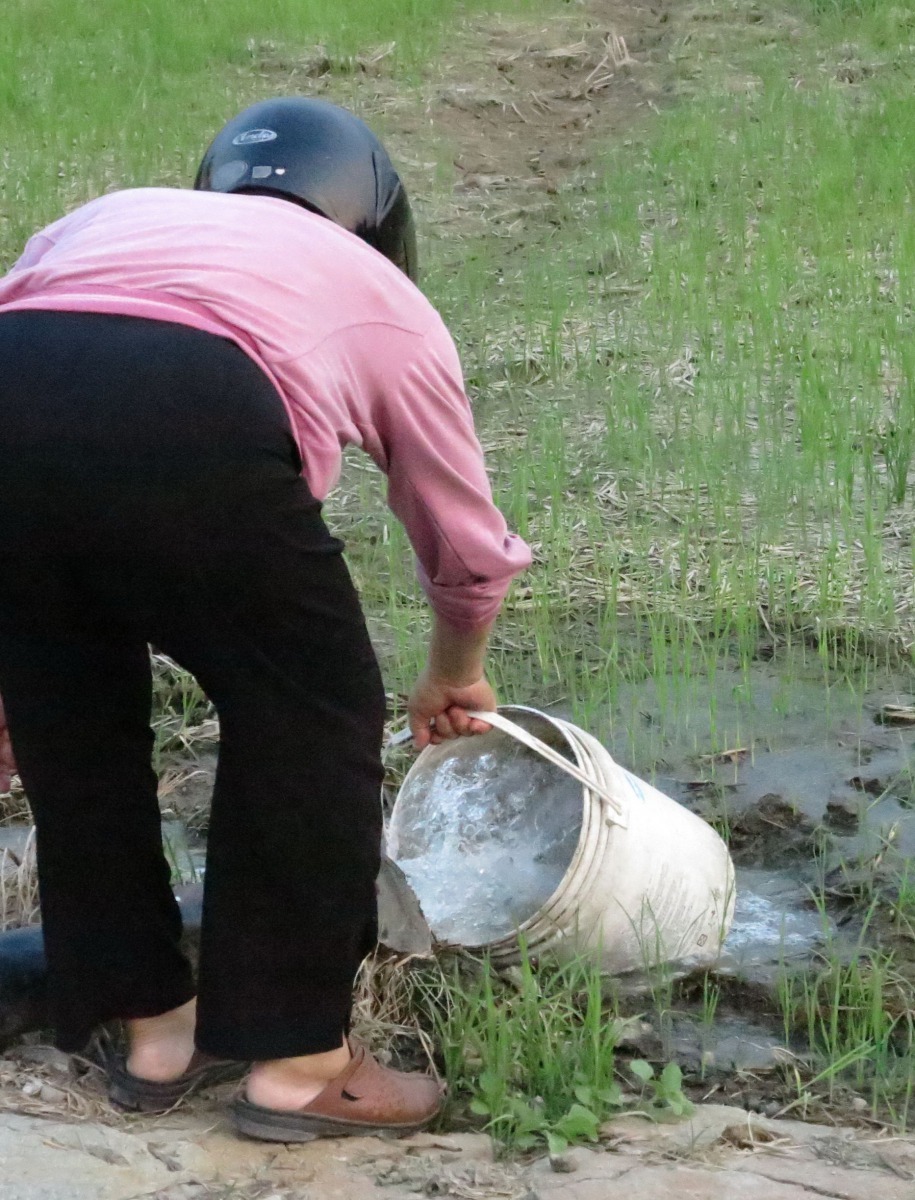 這位愛媽每隔幾天就會刷洗飲用水容器，確保不會長孑孓。高維奇/攝