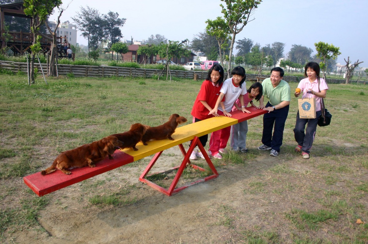 幾年前郭振東帶著全家人及愛犬到寵物運動公園遛狗。 高維奇/攝