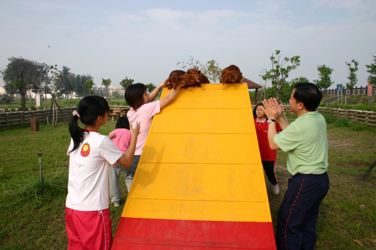 郭振東是典型的「愛犬家」,家長視寵物如已出,孩子們把狗狗當姊妹。高維奇/攝