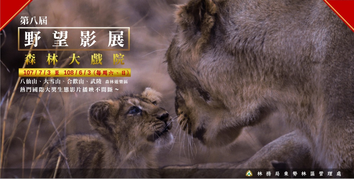 林務局推出「2018野望影展 森林大戲院」邀請民眾現場報名免費入座。林務局/提供