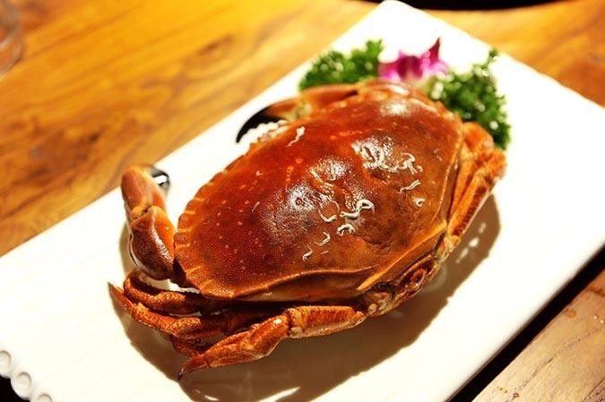 哈寵誌/提供