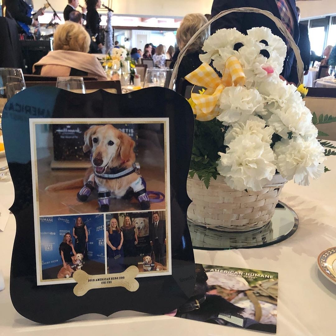 Chichi喪禮照片。（Instagram@chichirescuedog）