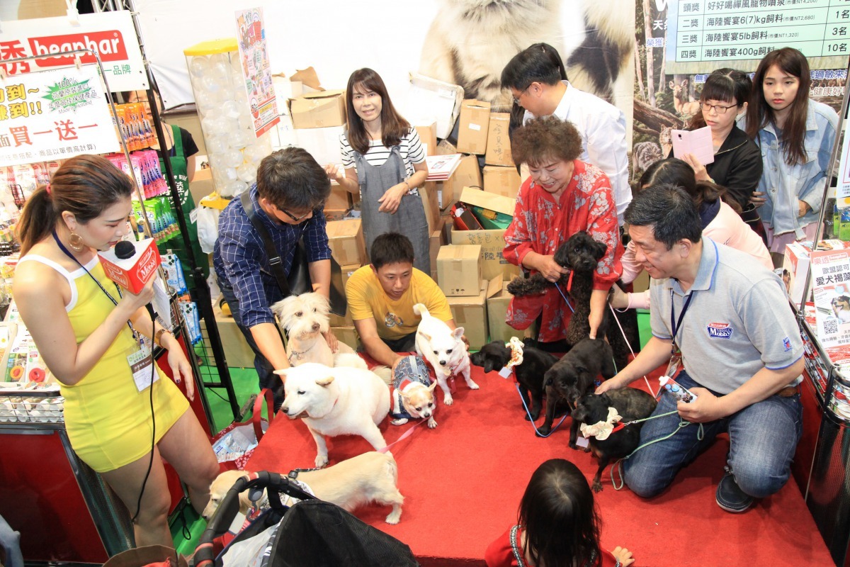 南台灣寵物首展，邀請浪浪一同參與。張峻豪/攝