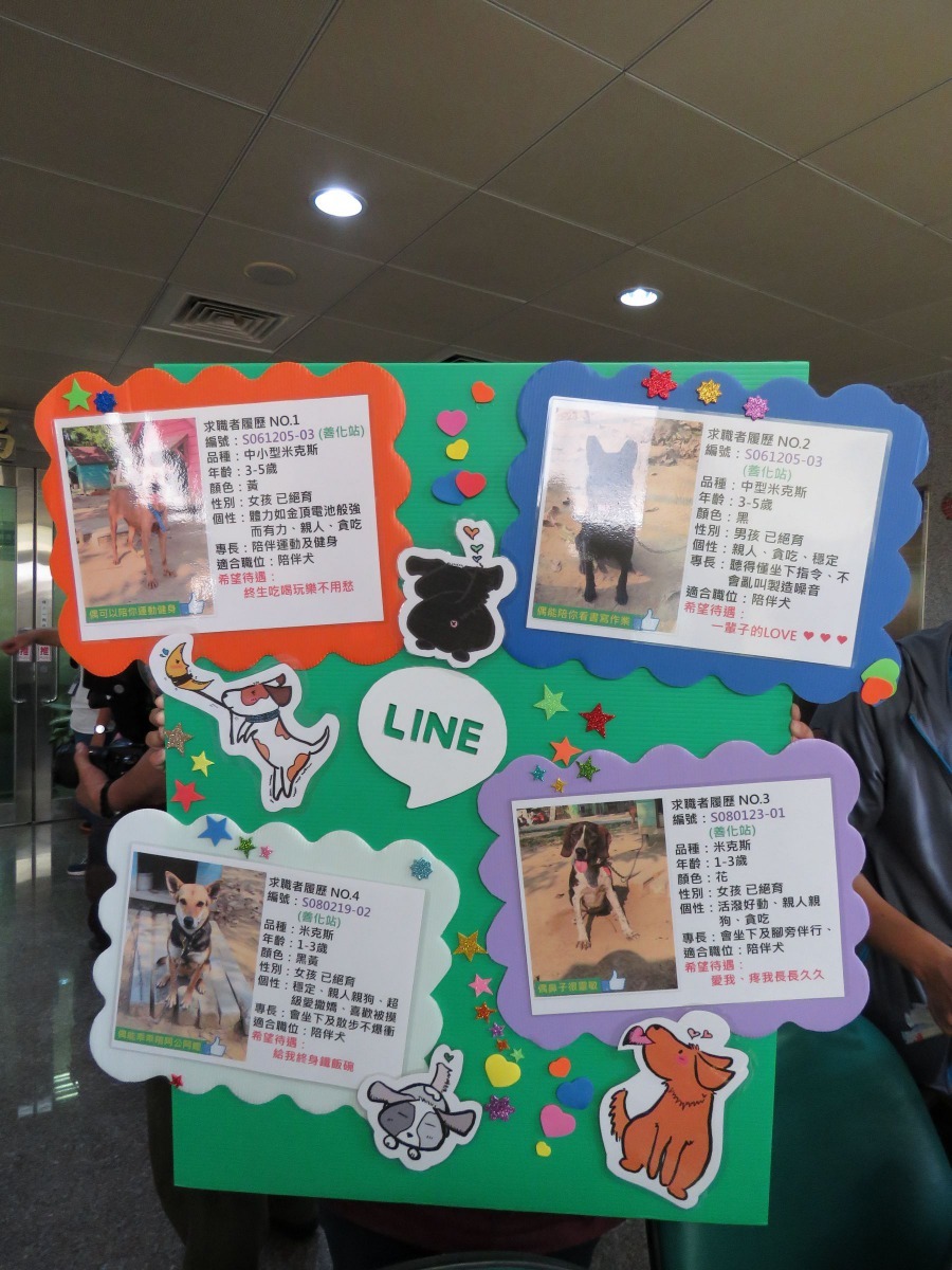 毛小孩求職履歷，包括毛小孩照片、基本資料、個性及特徵等，可藉由LINE互動軟體的即時傳送功能大量傳遞。高維奇／攝