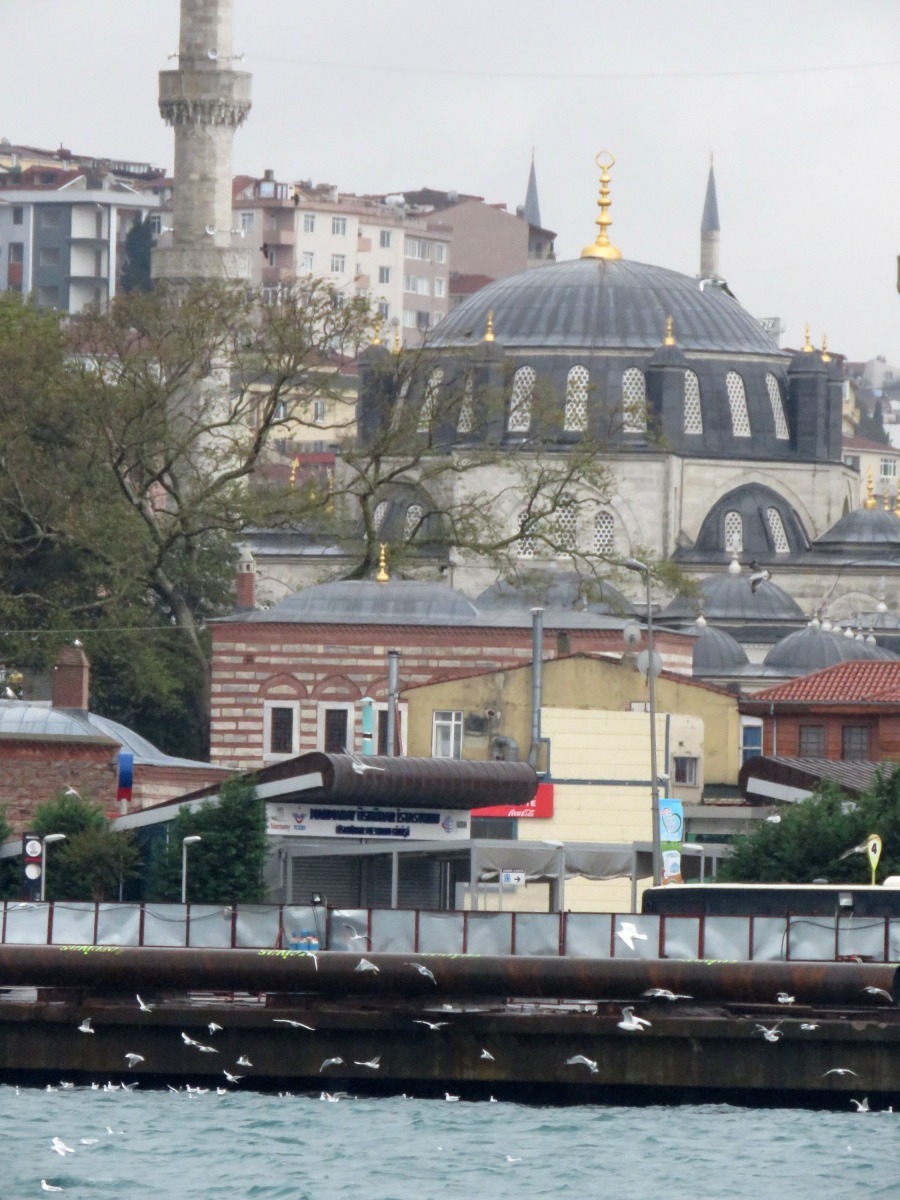 海鷗飛翔讓博斯普魯斯海峽兩岸的景觀更生動。高維奇/攝