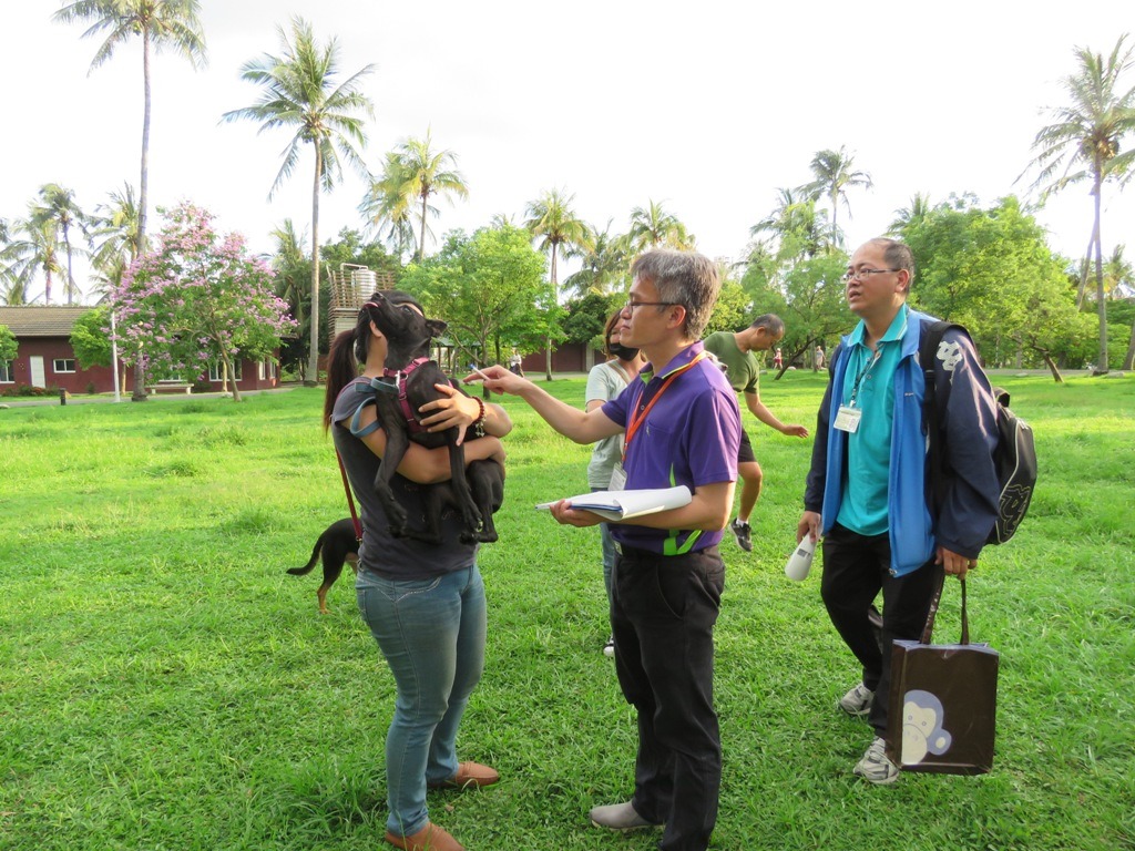 落實寵物登記稽查，對未辦理者依法開罰才能提高登記率。高維奇／攝