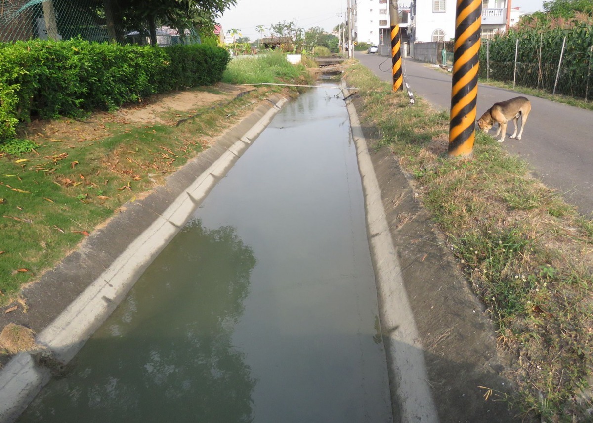 舊式的T型溝,狗下水後仍可以爬上岸。高維奇/攝