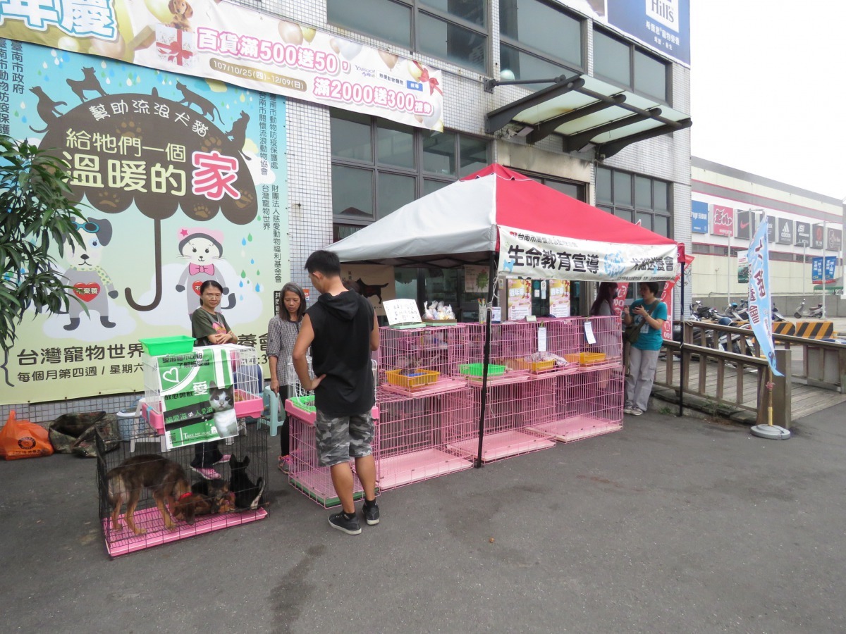 台南市關懷流浪動物協會致力於流浪犬貓送養。高維奇／攝