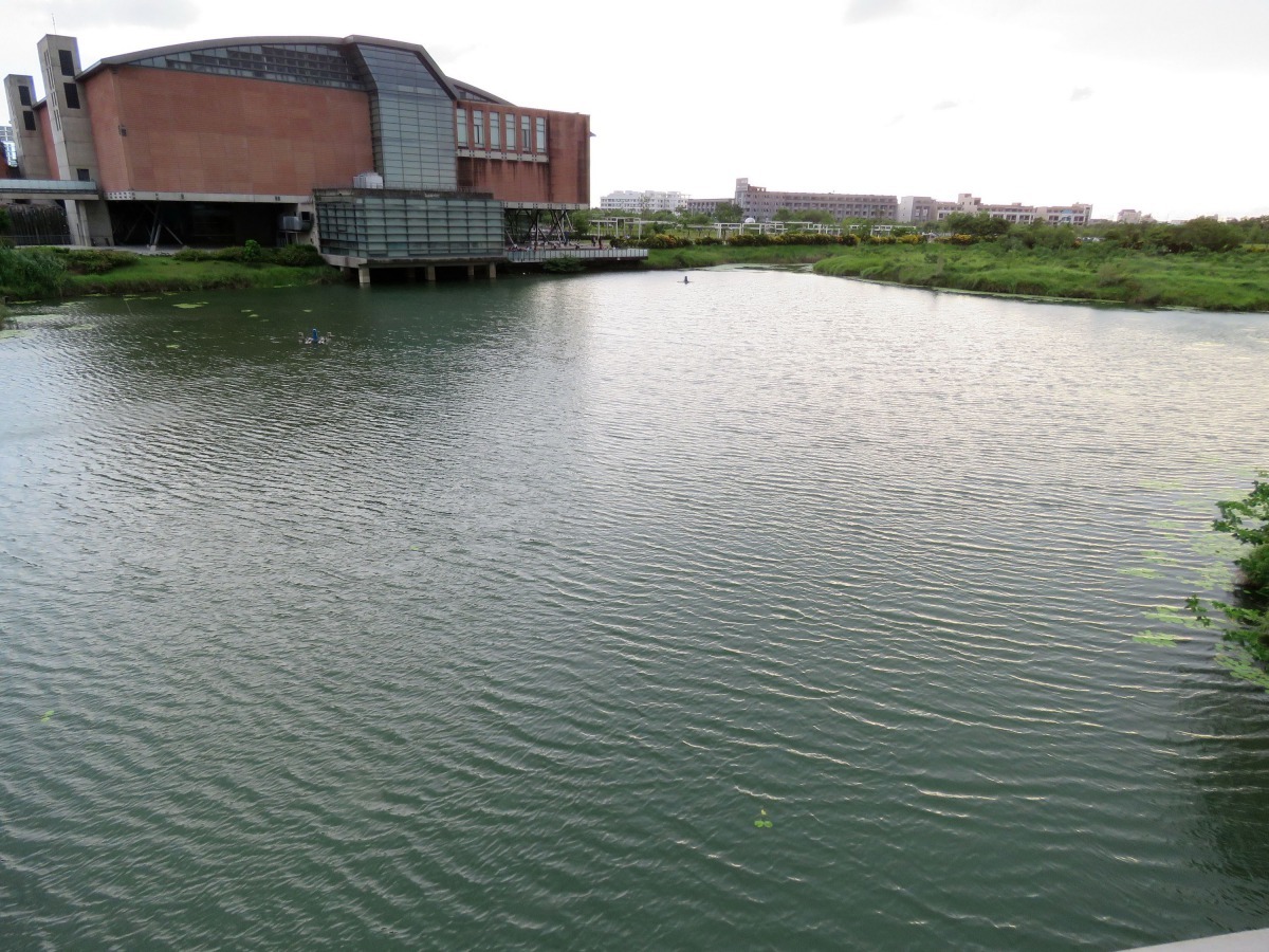 台灣歷史博物館的滯洪池兼具防洪與親水功能。高維奇/攝