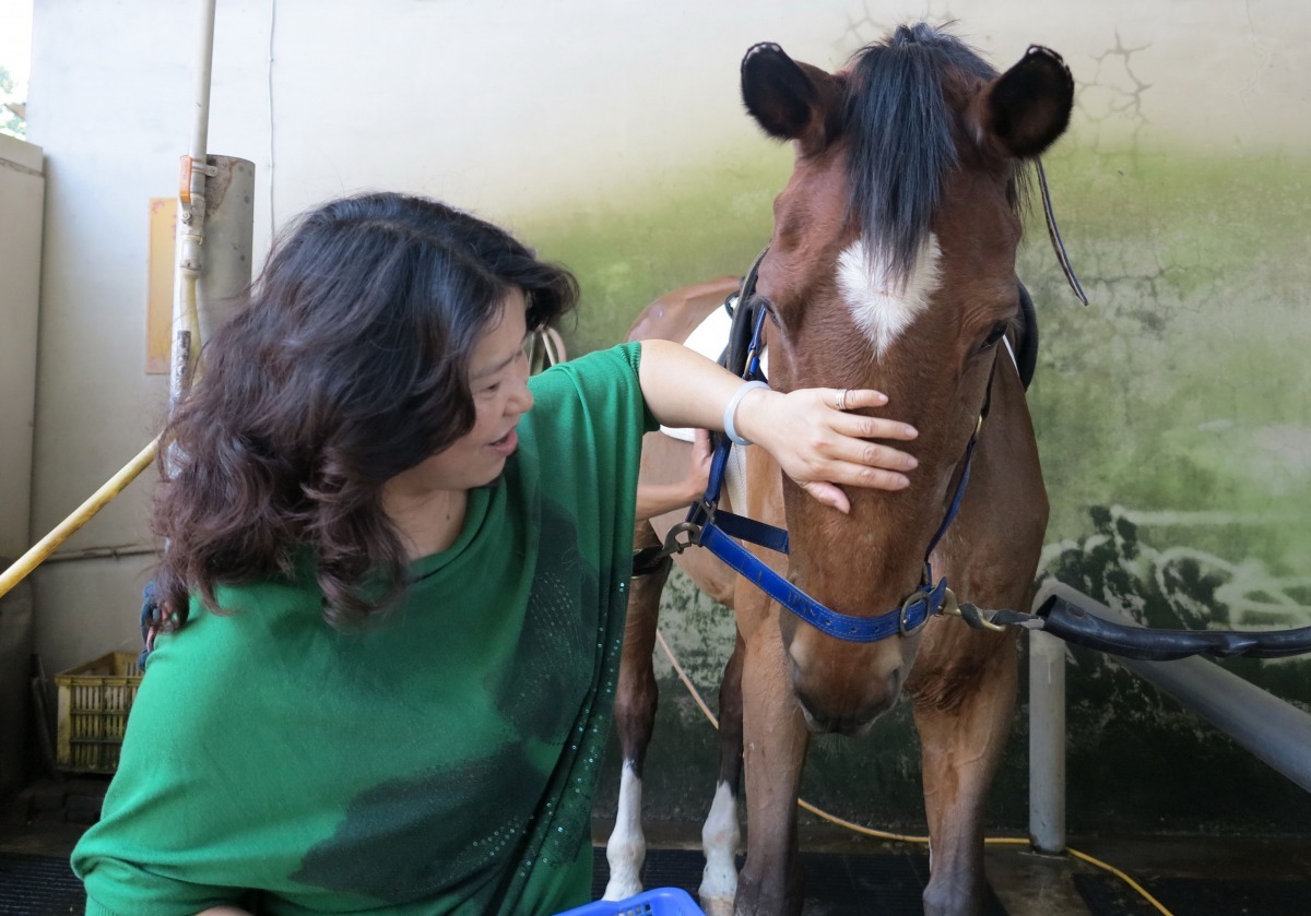 初次餵馬難免會怕，經專家指導後就能順手餵養。