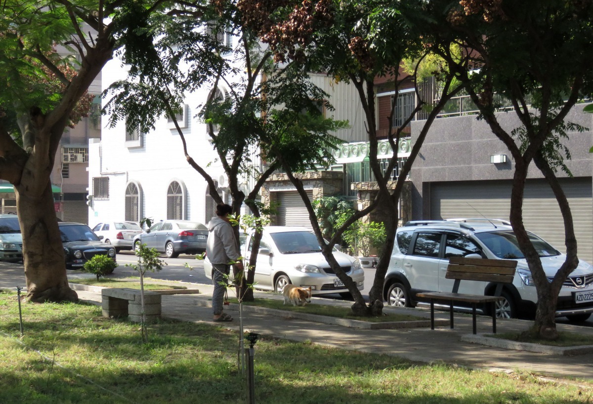 台南安平區平通里社區公園是周遭居民的寵物公園。高維奇/攝